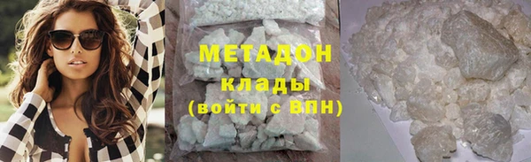 амф Гусев