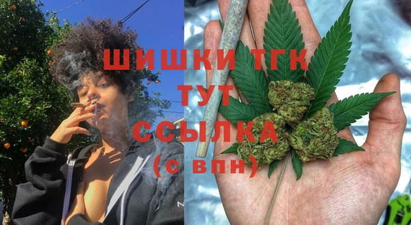 амф Гусев