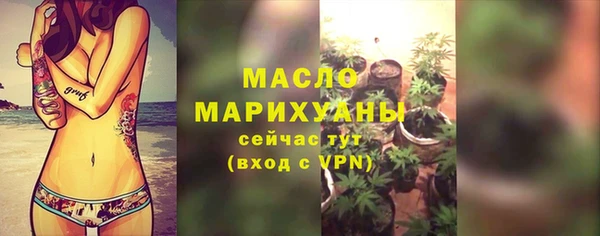 амф Гусев