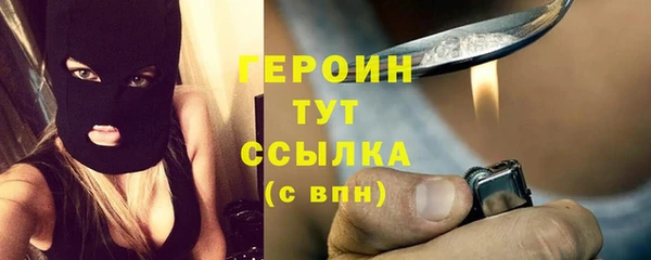 амф Гусев