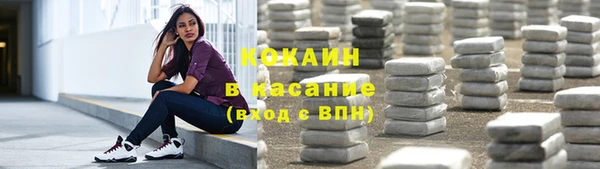 амф Гусев