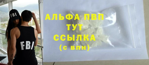 амф Гусев