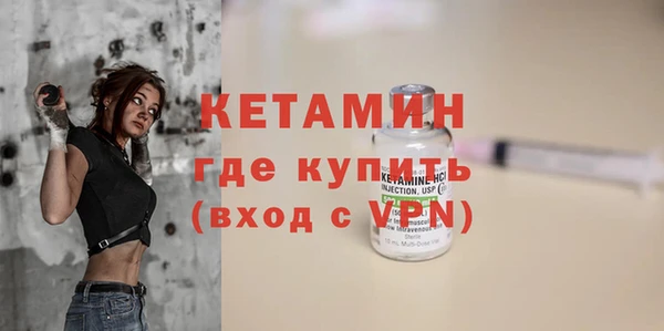 амф Гусев