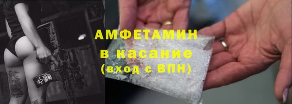амф Гусев