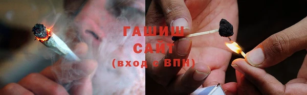 амф Гусев