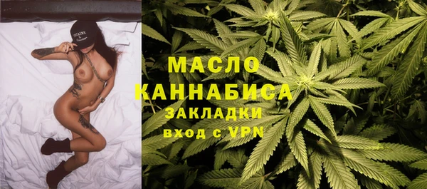 амф Гусев