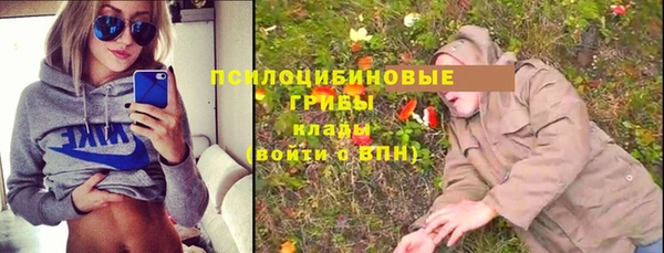 амф Гусев