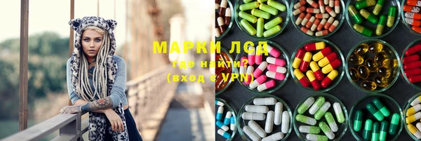 амф Гусев