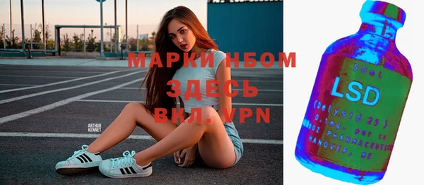 амф Гусев